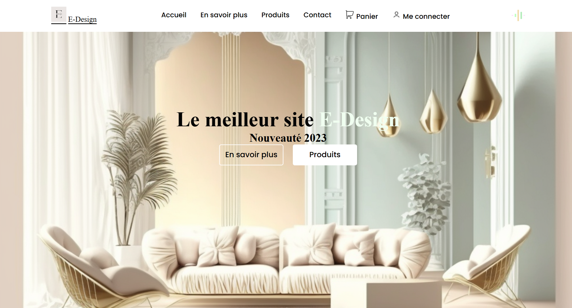 Page d'accueil de la boutique e-commerce avec catalogue de produits